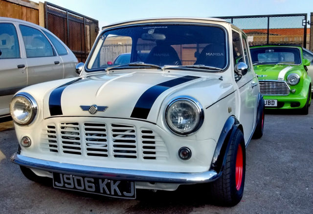 1991 Mini Classic Mini - photo 3