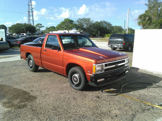 1991 Chevrolet S-10 - photo 2