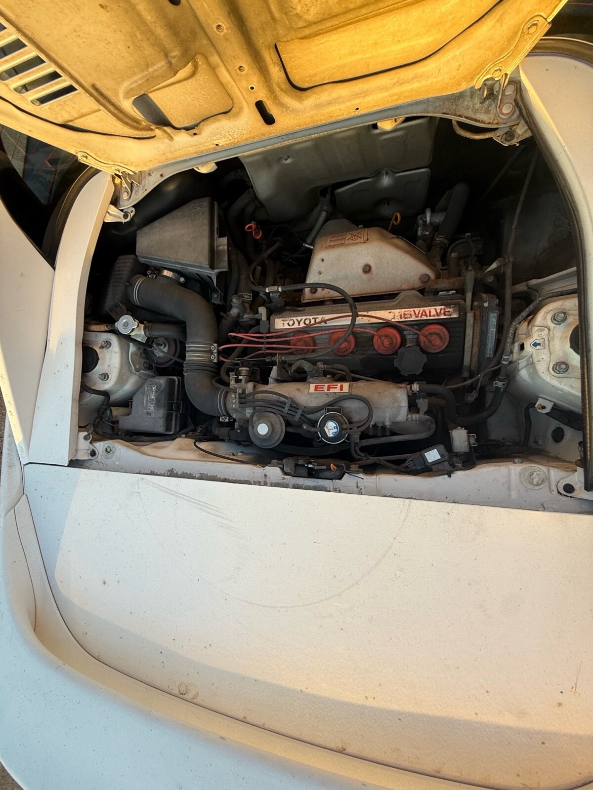 1991 Toyota MR2 - photo 7