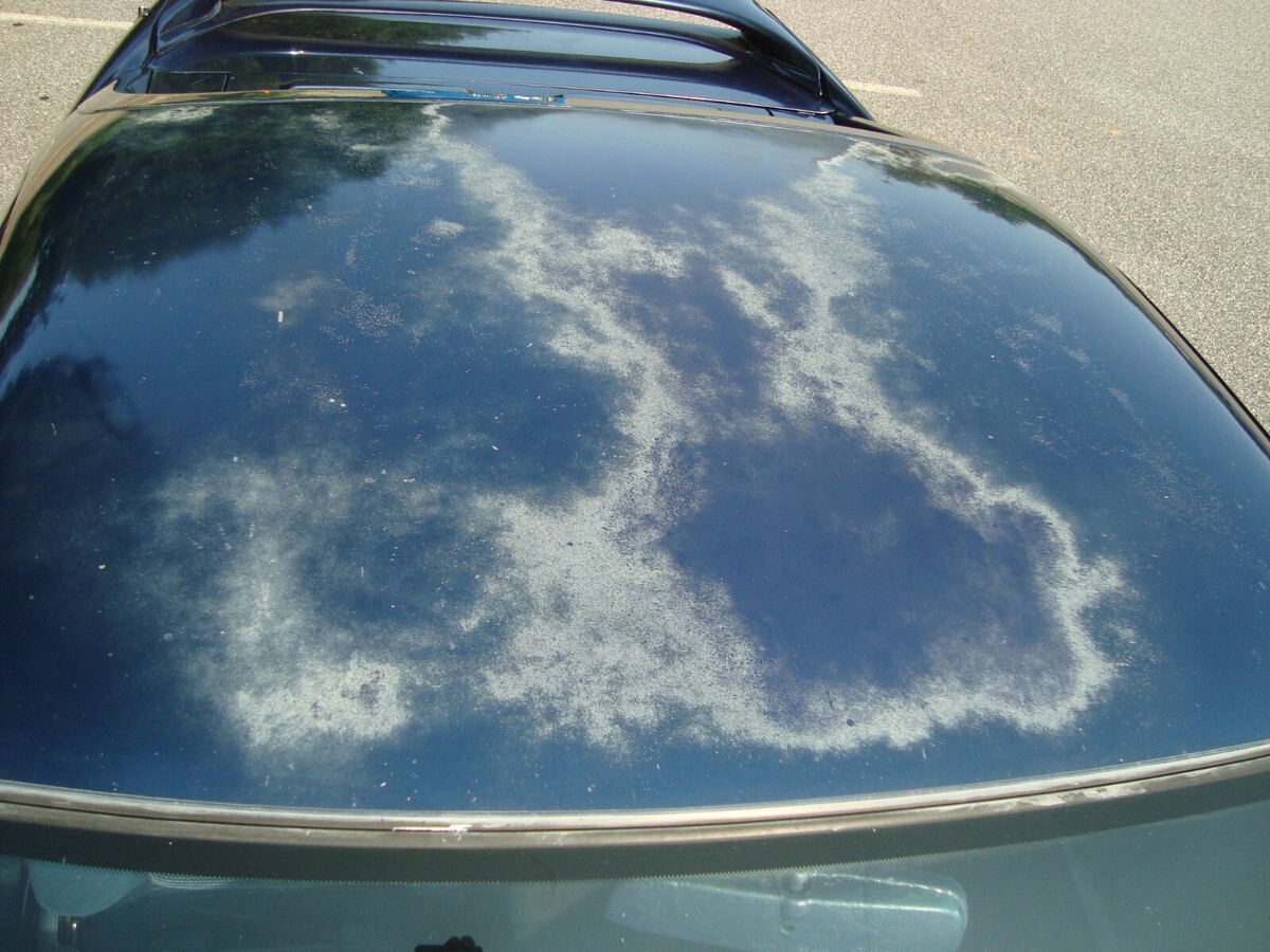 1991 Toyota MR2 - photo 10