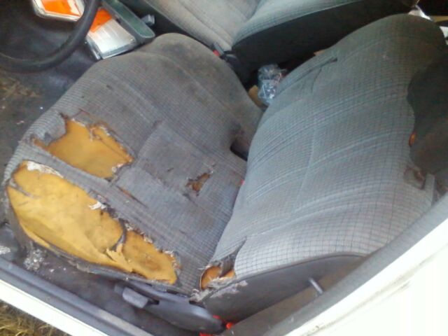 1991 Toyota Tacoma - photo 12