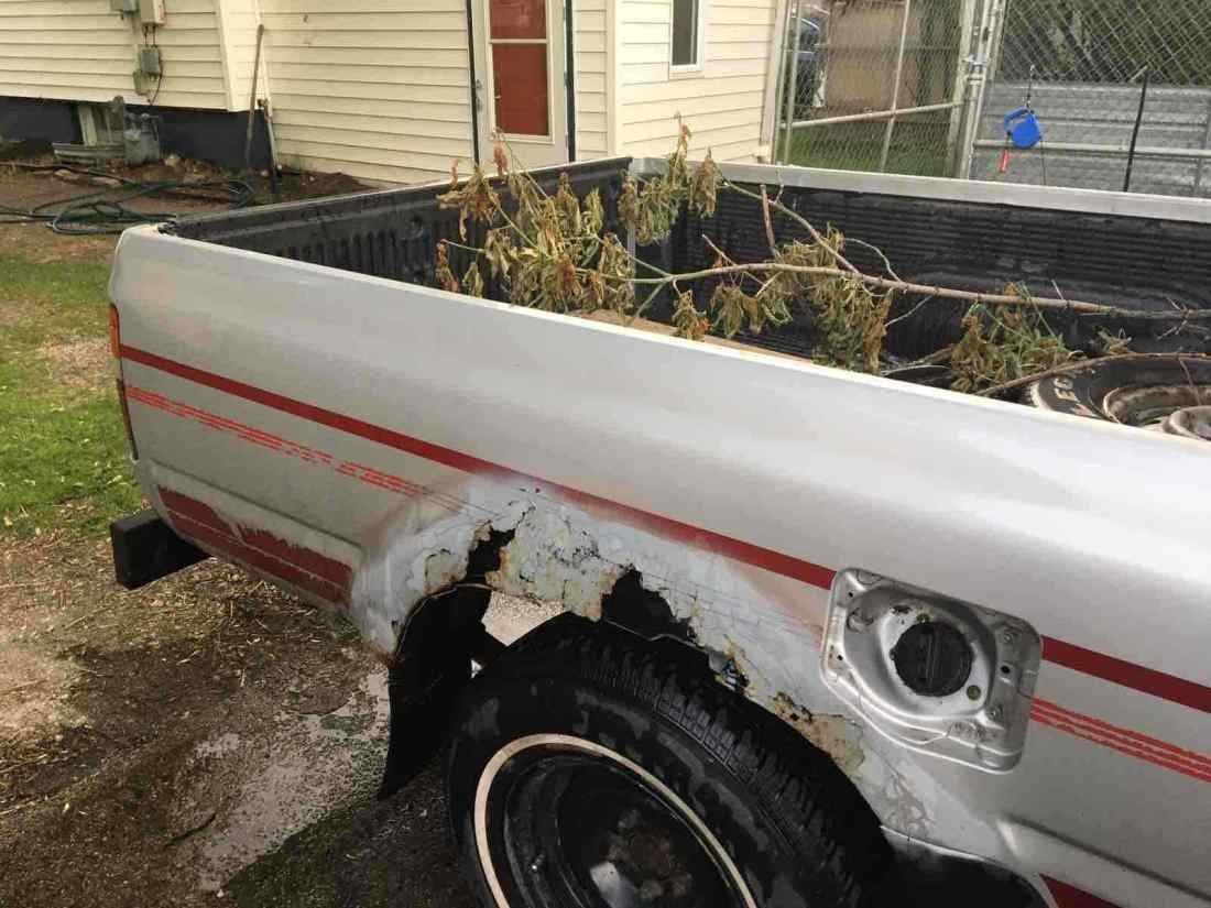 1991 Toyota Pickup 1/2 TON SHORT WHEELBASE - photo 4