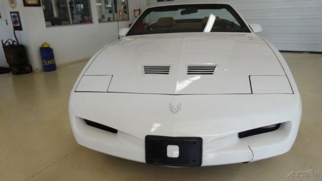 1991 Pontiac Firebird Trans Am - photo 8