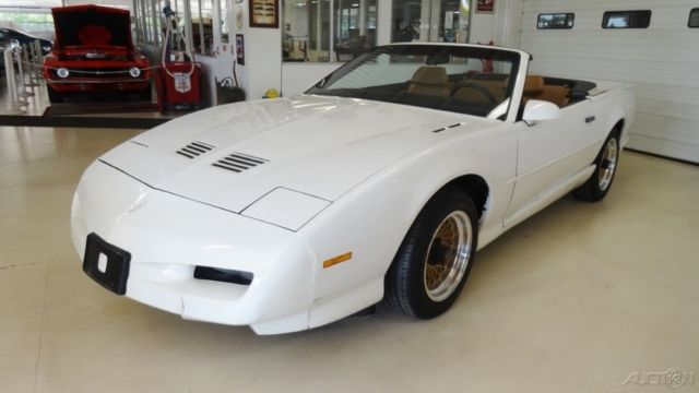 1991 Pontiac Firebird Trans Am - photo 9