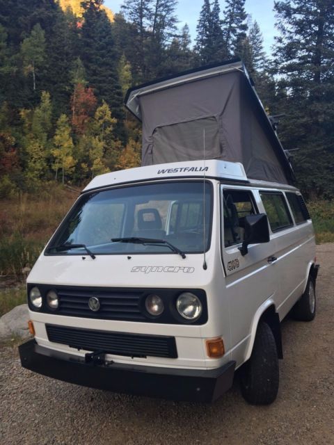 1991 Volkswagen Bus/Vanagon Wolfsberg Interior