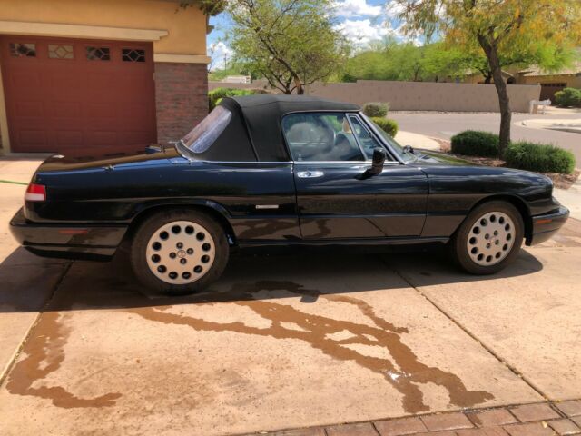 1992 Alfa Romeo Spider Spider Veloce - photo 5