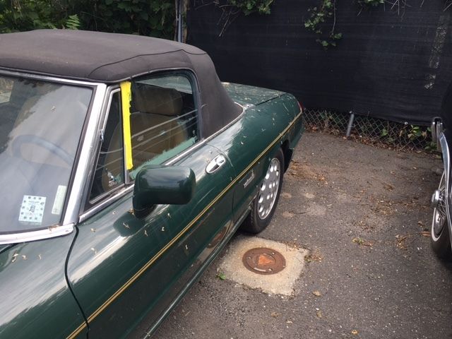 1992 Alfa Romeo Spider 2 DR - photo 13