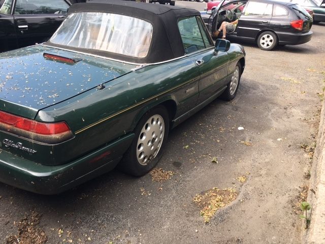 1992 Alfa Romeo Spider 2 DR - photo 5