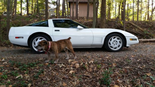 1992 Chevrolet Corvette TARGA - photo 12