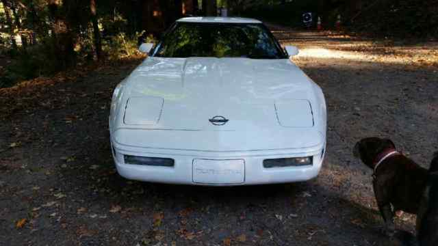 1992 Chevrolet Corvette TARGA - photo 2