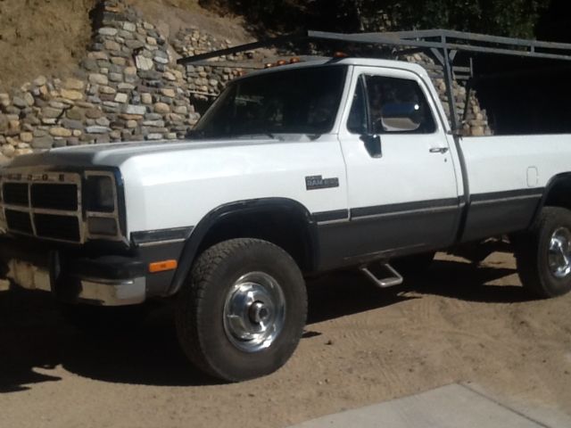 1992 Dodge Other Pickups LE - photo 2