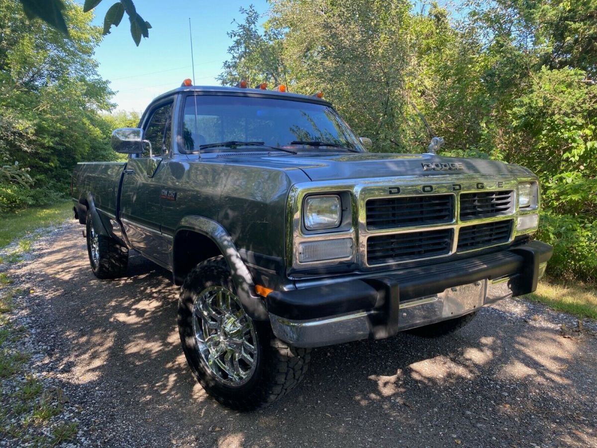 1992 Dodge Other Pickups D250 - photo 2