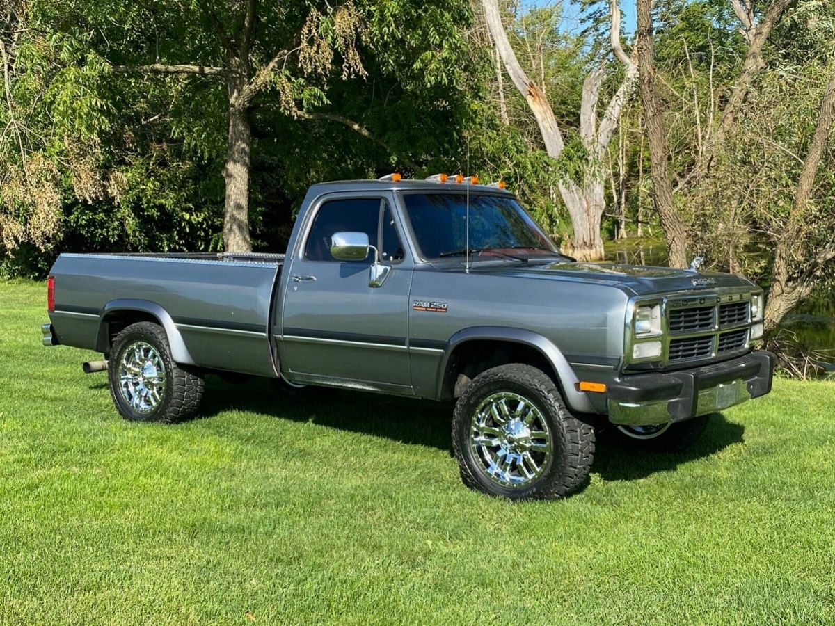 1992 Dodge Other Pickups D250 - photo 3