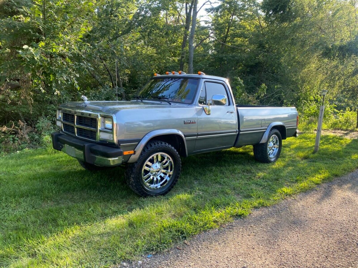 1992 Dodge Other Pickups D250 - photo 4