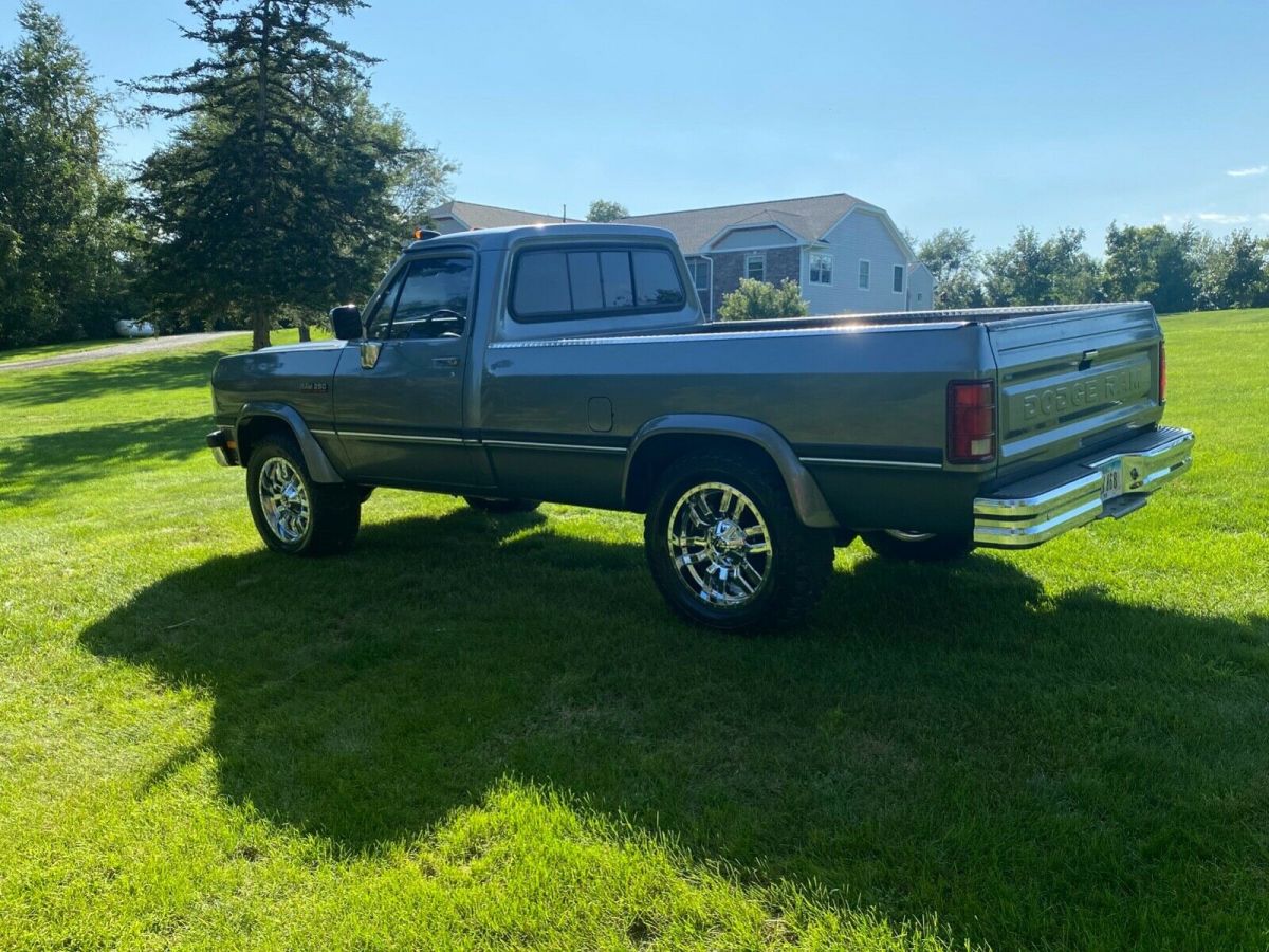 1992 Dodge Other Pickups D250 - photo 9
