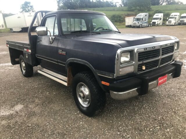 1992 Dodge Other Pickups LE - photo 3