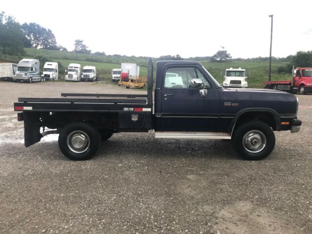 1992 Dodge Other Pickups LE - photo 5