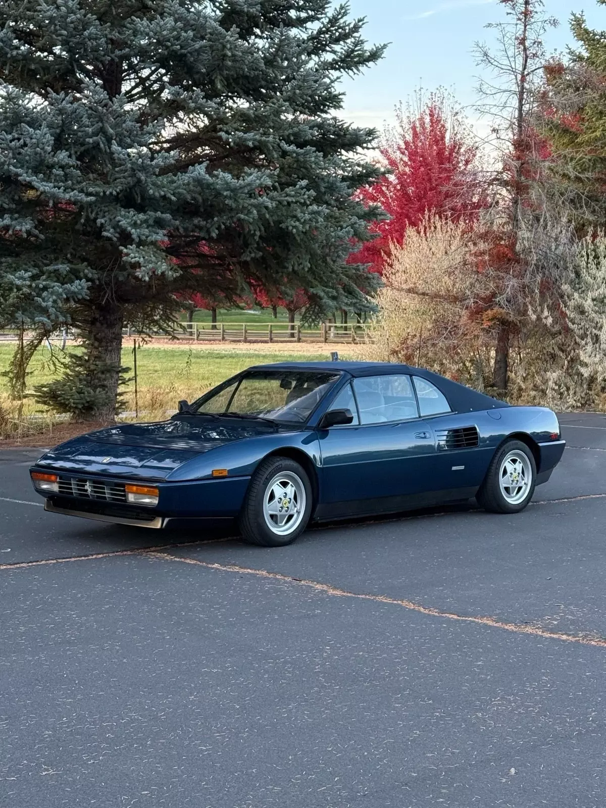 1992 Ferrari Mondial Blue T CABRIOLET 1992 Ferrari Mondial T CABRIOLET