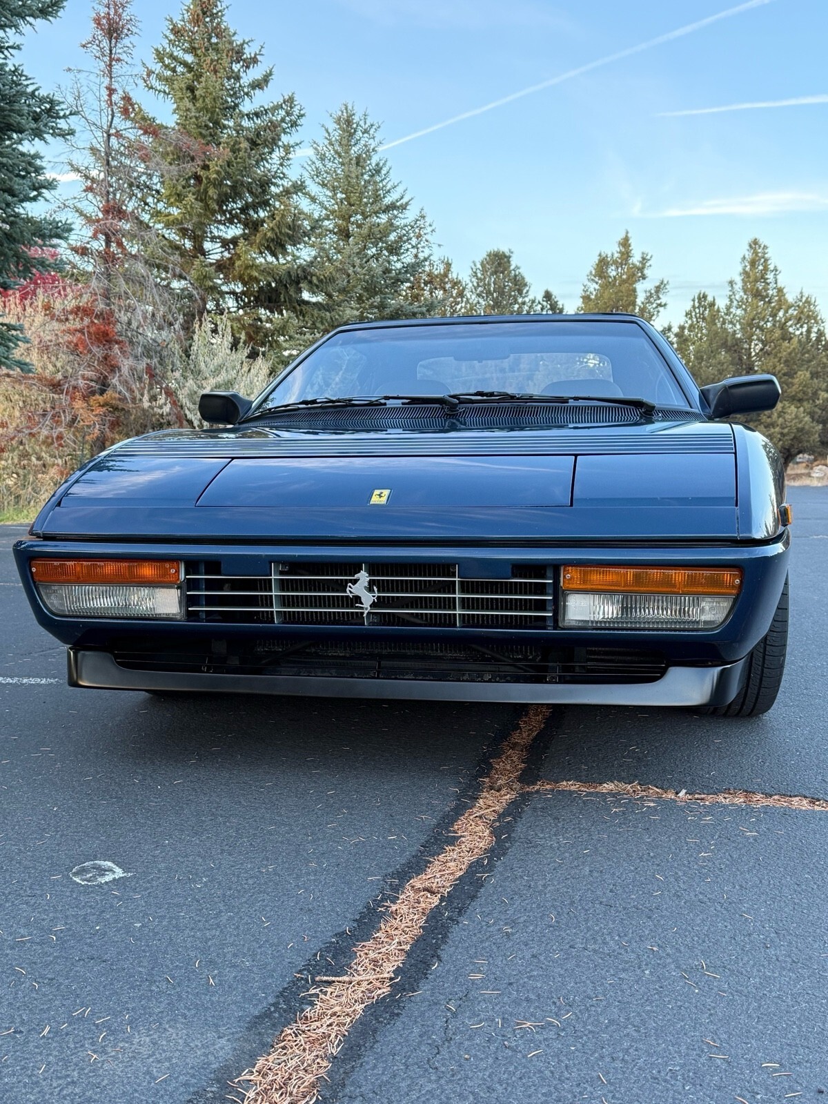 1992 Ferrari Mondial T CABRIOLET - photo 11