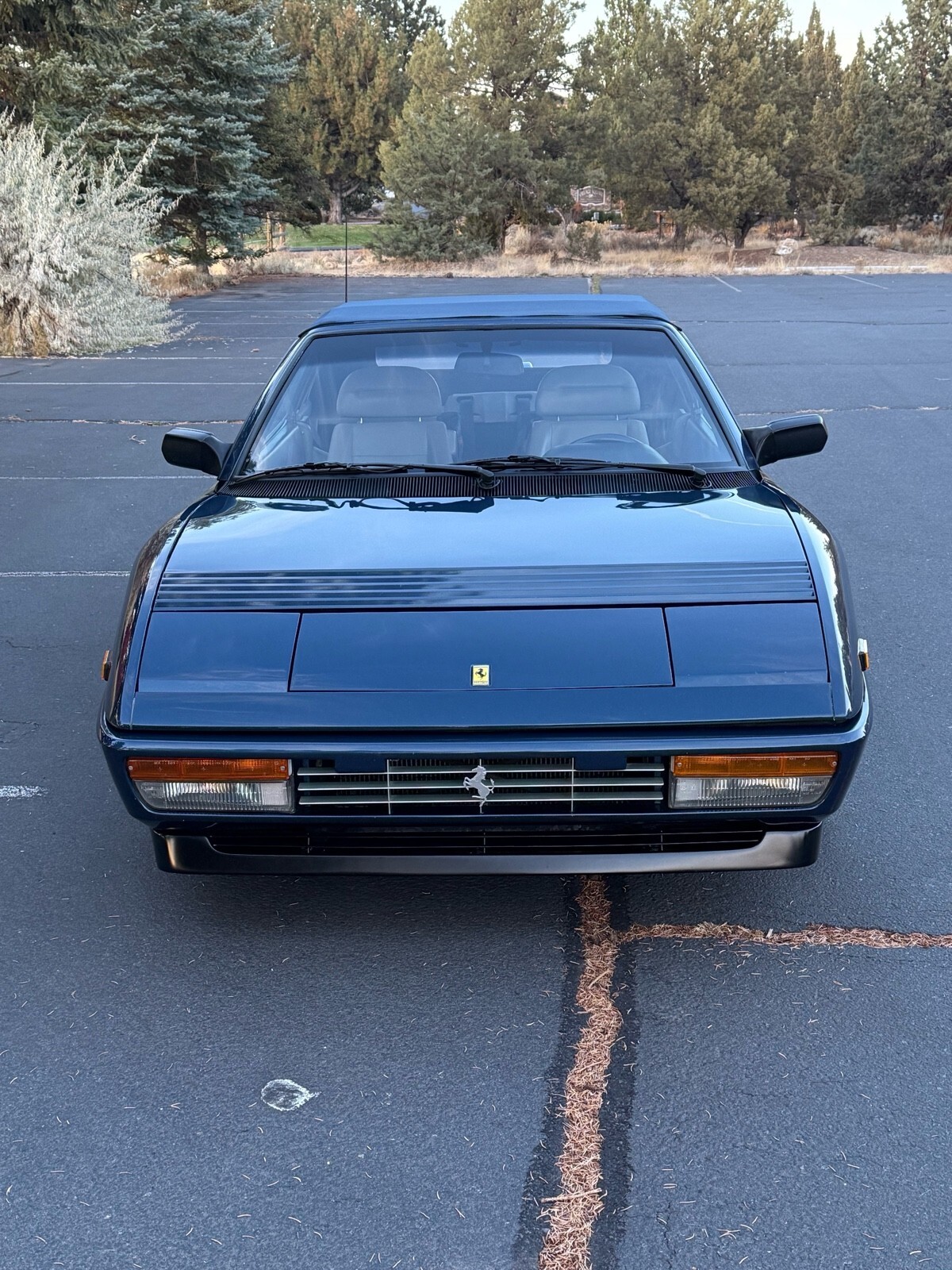 1992 Ferrari Mondial T CABRIOLET - photo 12
