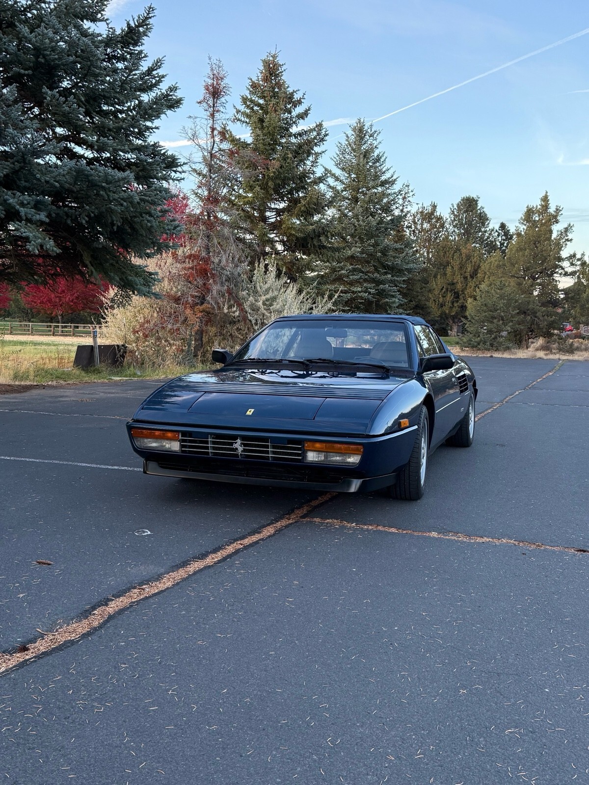 1992 Ferrari Mondial T CABRIOLET - photo 13