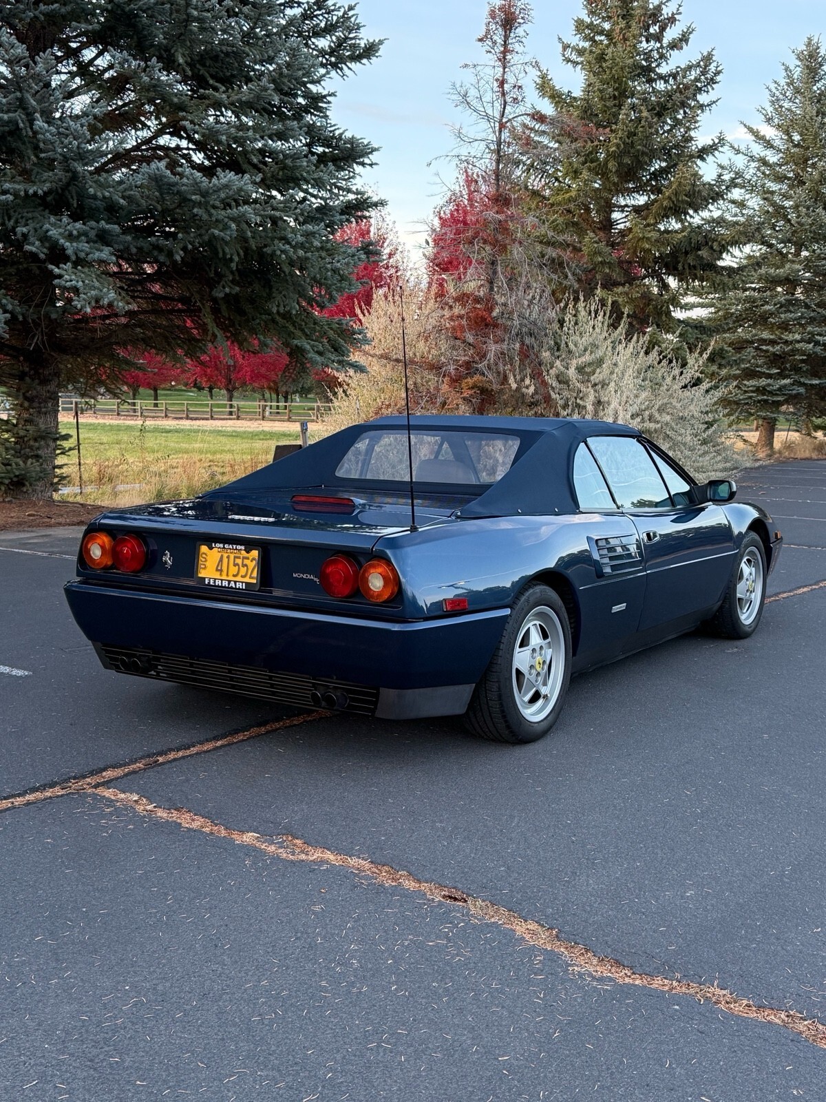 1992 Ferrari Mondial T CABRIOLET - photo 3