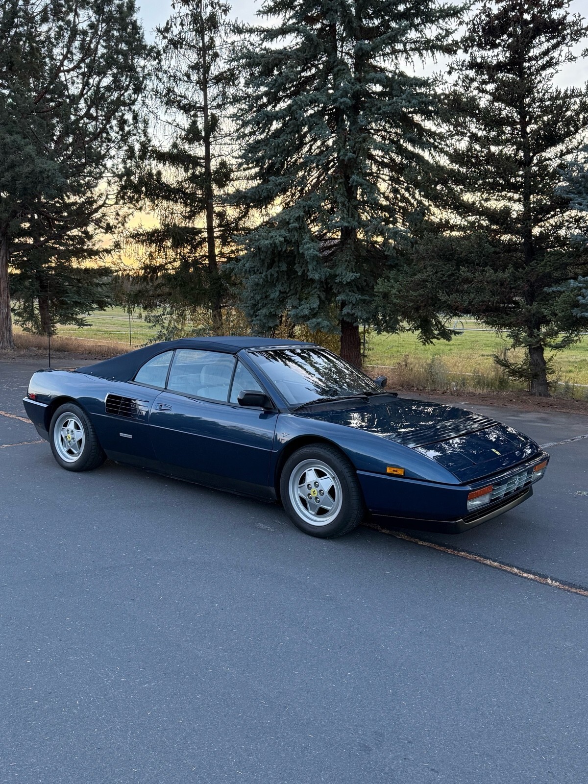 1992 Ferrari Mondial T CABRIOLET - photo 7