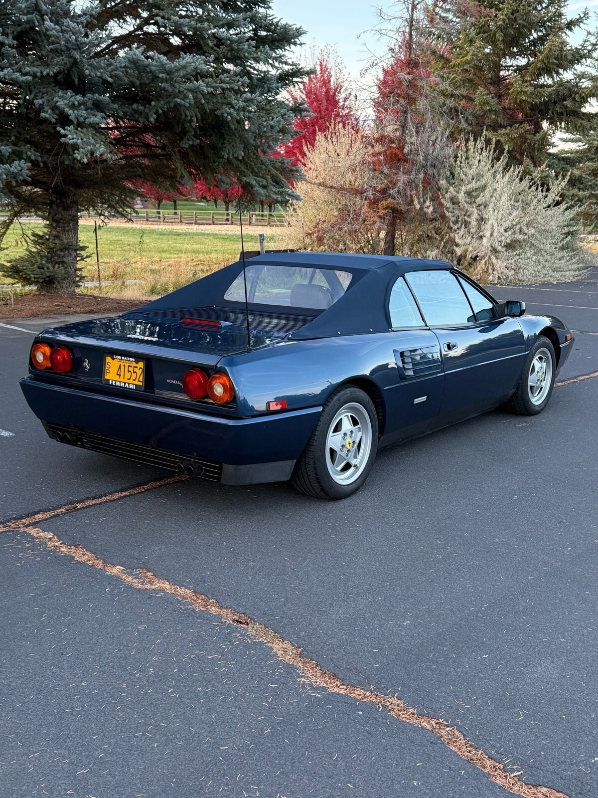 1992 Ferrari Mondial T CABRIOLET - photo 8