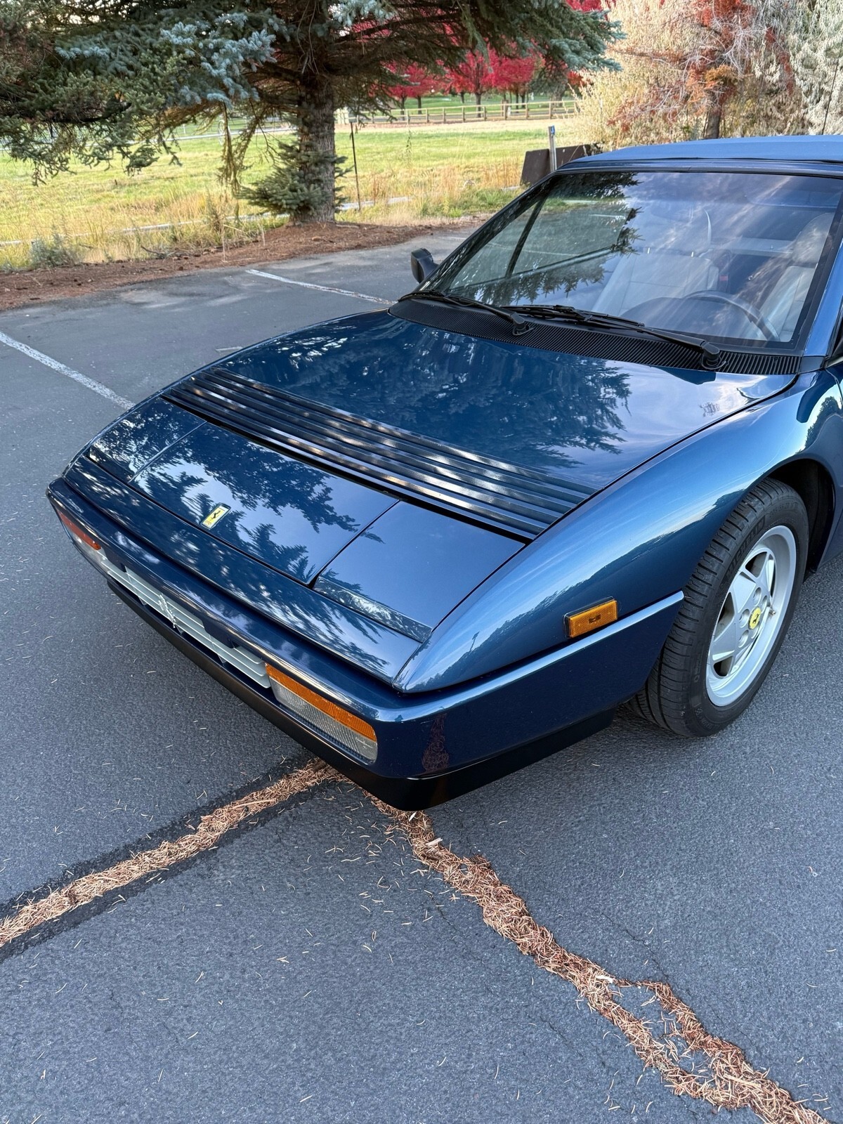 1992 Ferrari Mondial T CABRIOLET - photo 9