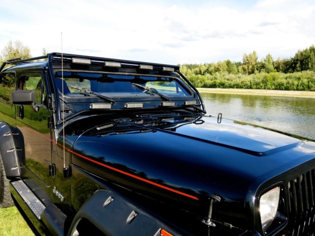 1992 Jeep Wrangler CHOPPED ROOF - photo 8