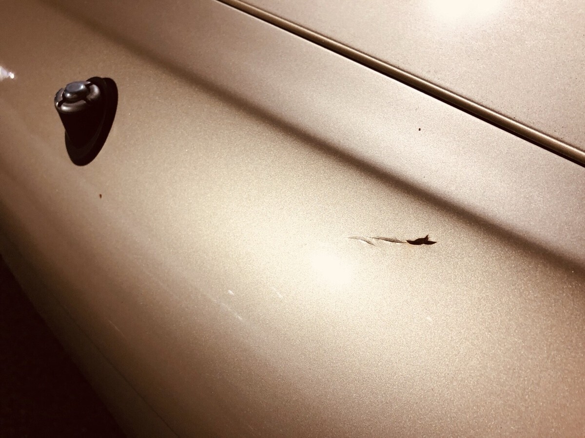 1992 Lexus SC 300 - photo 6