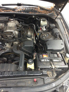 1992 Lexus SC - photo 3