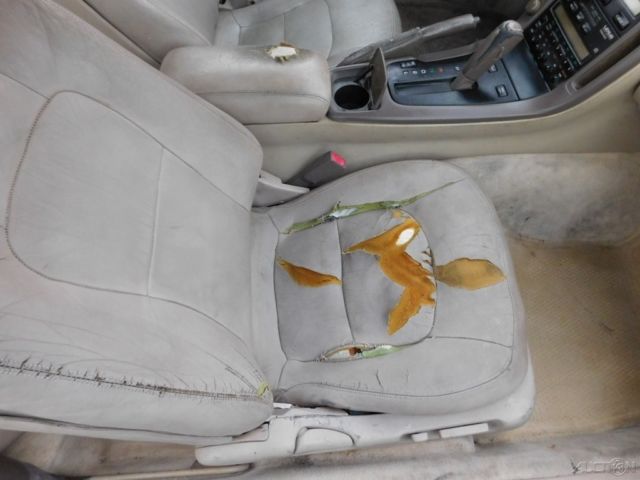 1992 Lexus SC Base Coupe 2-Door - photo 12