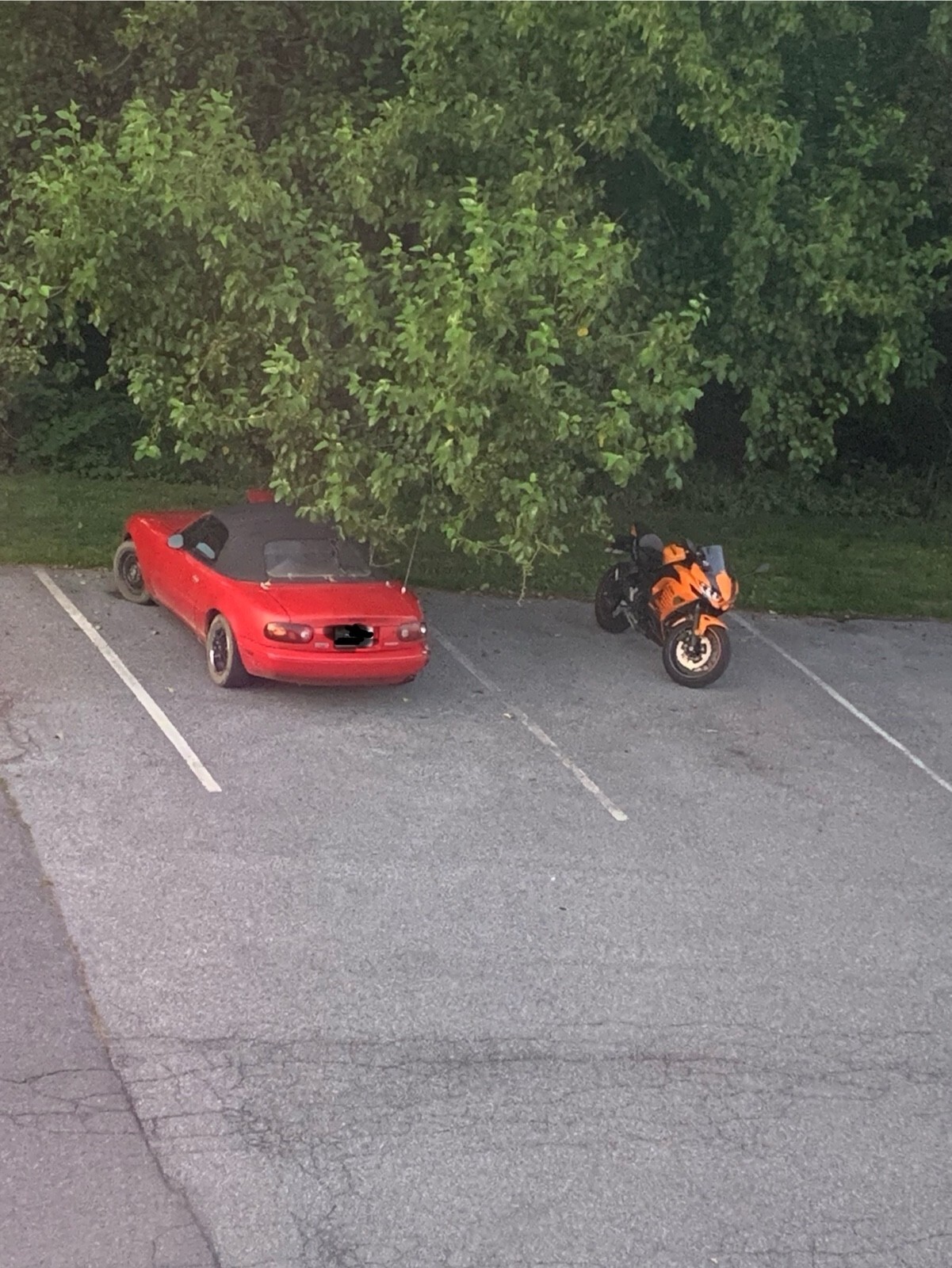 1992 Mazda MX-5 Miata - photo 5