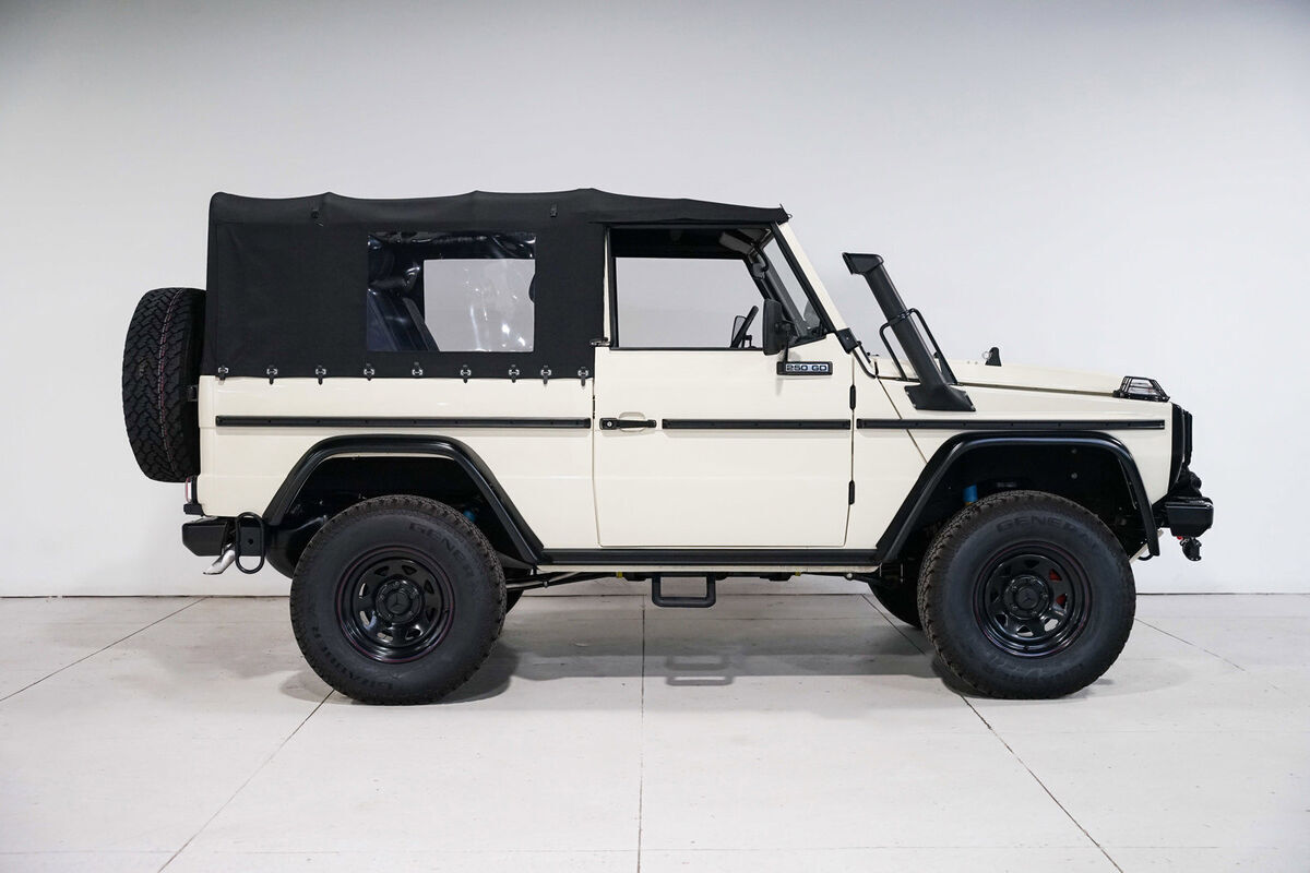 1992 Mercedes-Benz 250GD Wolf - photo 2