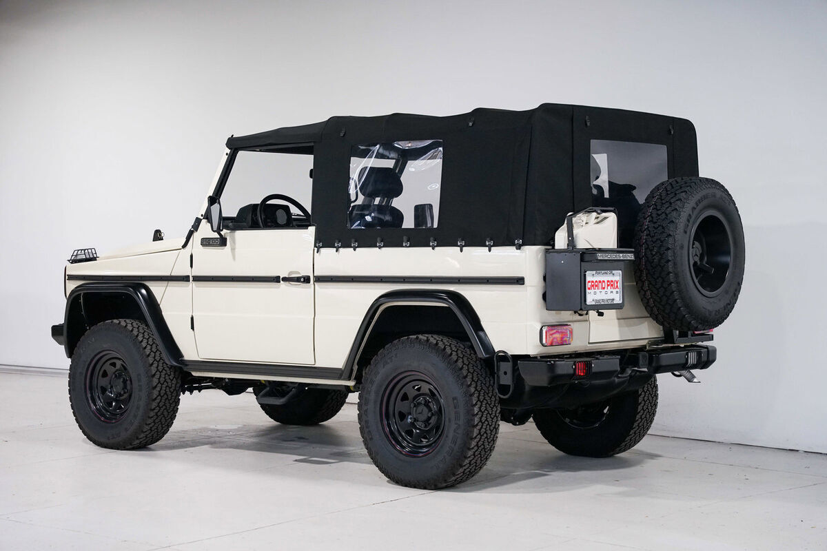 1992 Mercedes-Benz 250GD Wolf - photo 8