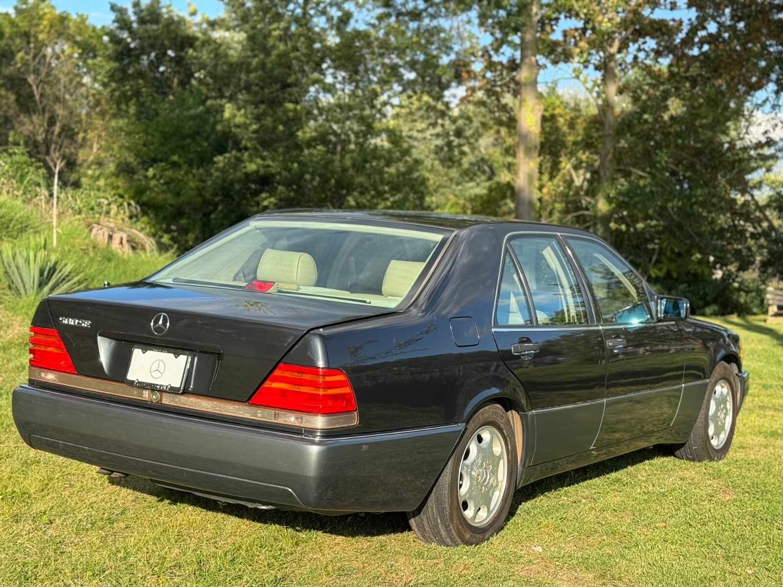 1992 Mercedes-Benz S-Class - photo 9