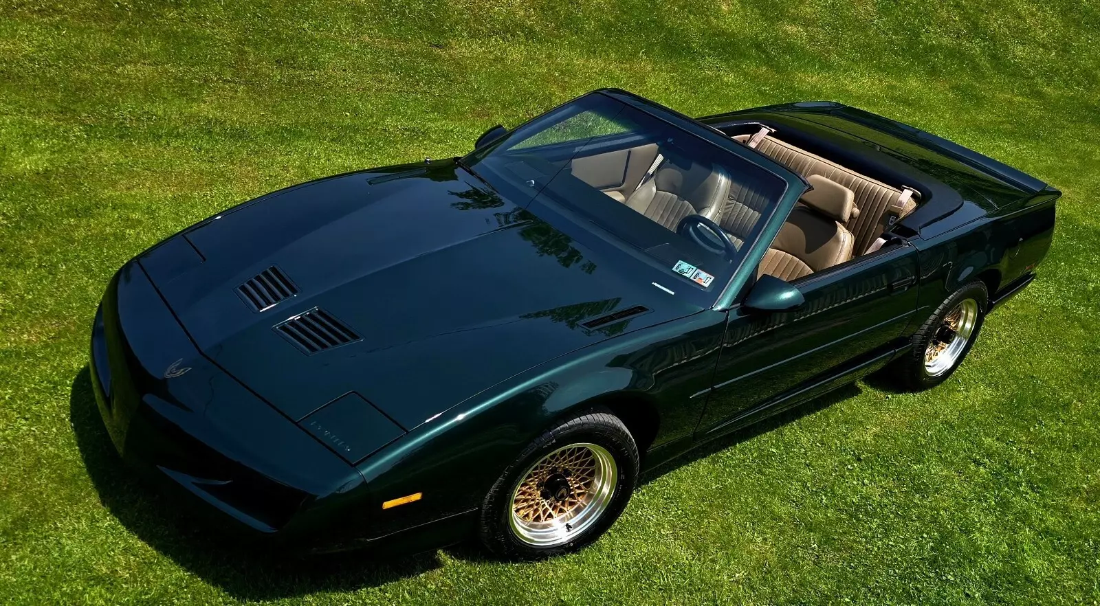 1992 Pontiac Firebird TRANS AM - photo 10