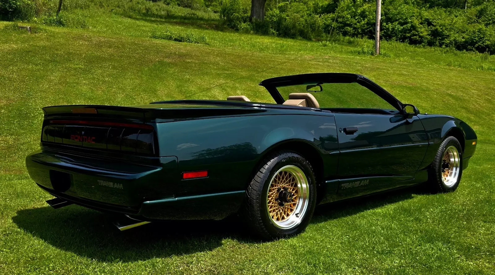 1992 Pontiac Firebird TRANS AM - photo 11