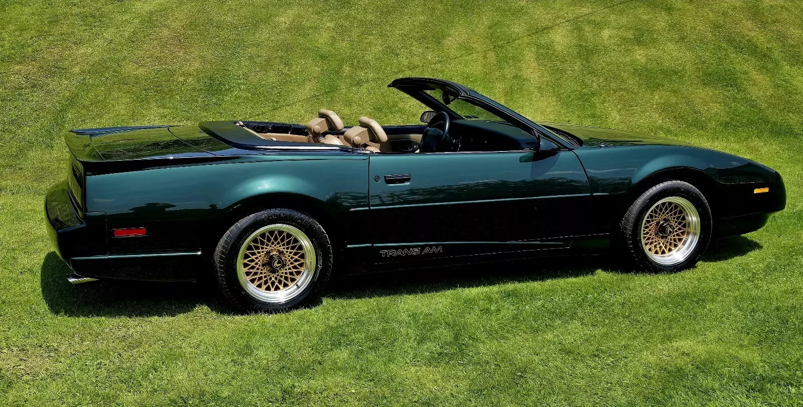 1992 Pontiac Firebird TRANS AM - photo 12