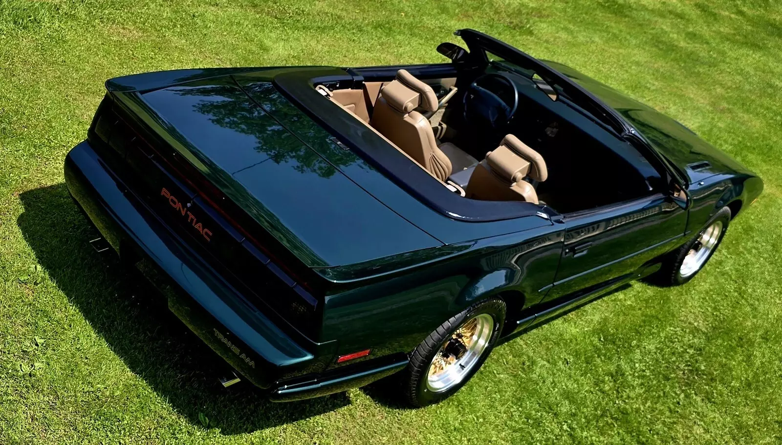 1992 Pontiac Firebird TRANS AM - photo 13