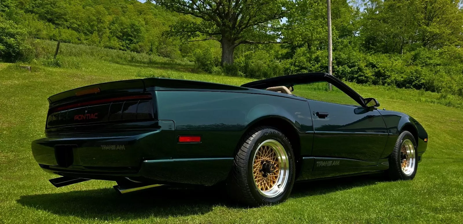 1992 Pontiac Firebird TRANS AM - photo 2