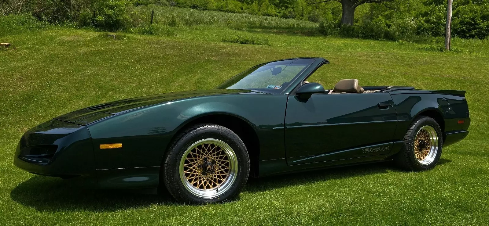 1992 Pontiac Firebird TRANS AM - photo 3