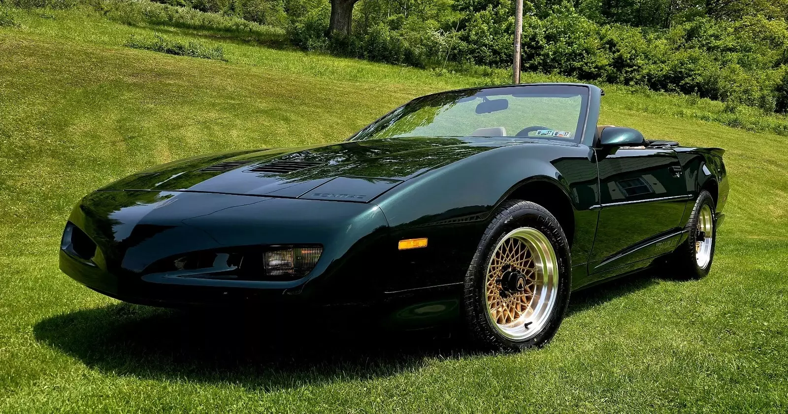 1992 Pontiac Firebird TRANS AM - photo 4