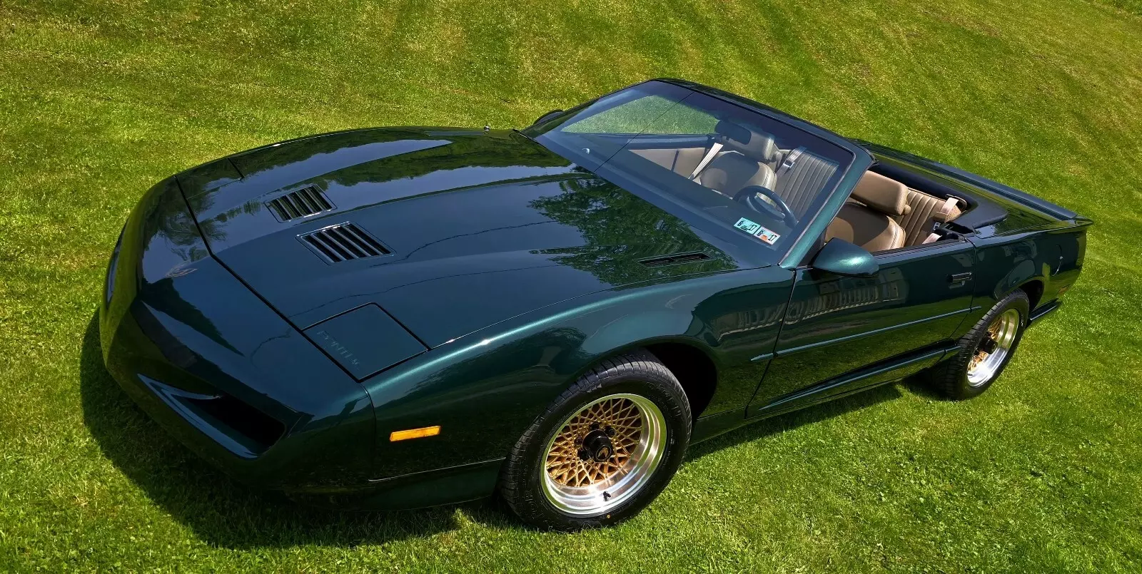 1992 Pontiac Firebird TRANS AM - photo 5