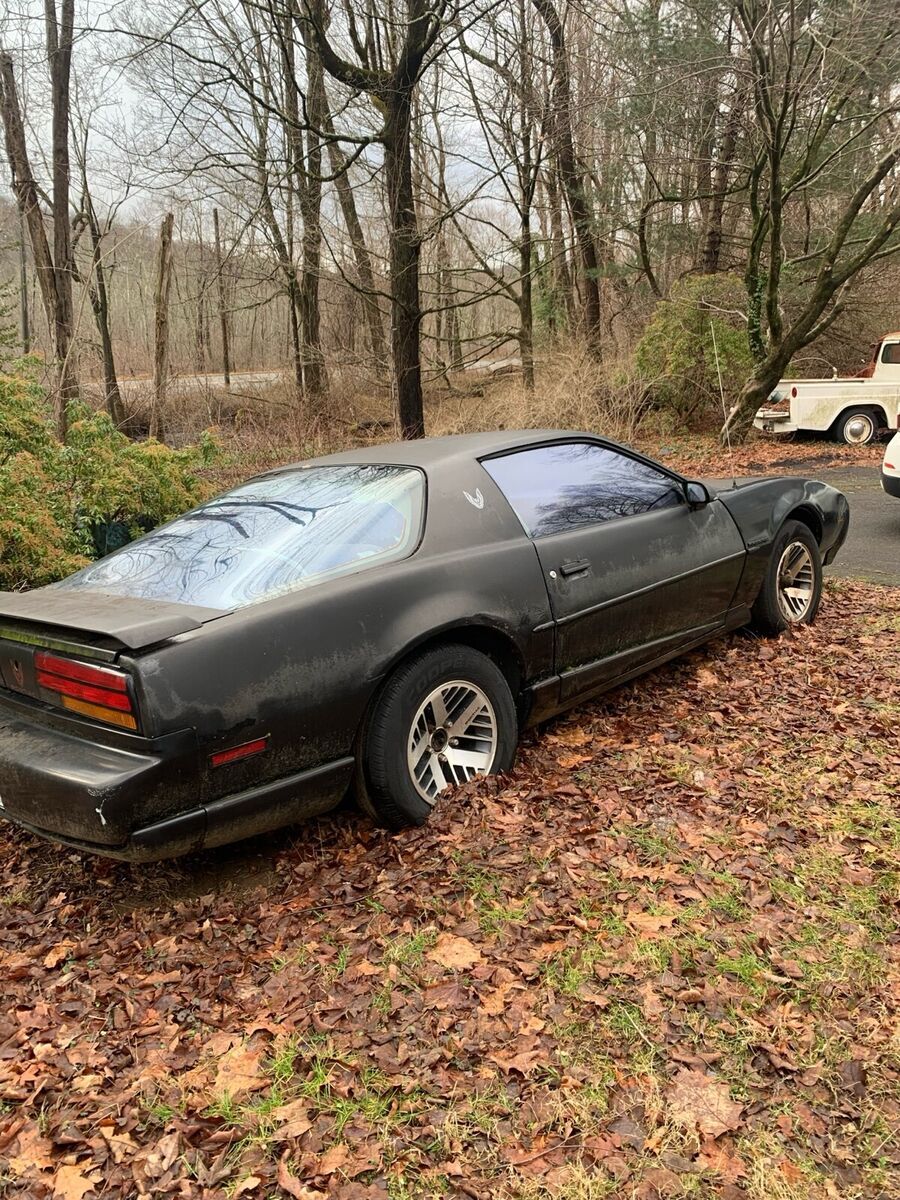 1992 Pontiac Firebird - photo 3