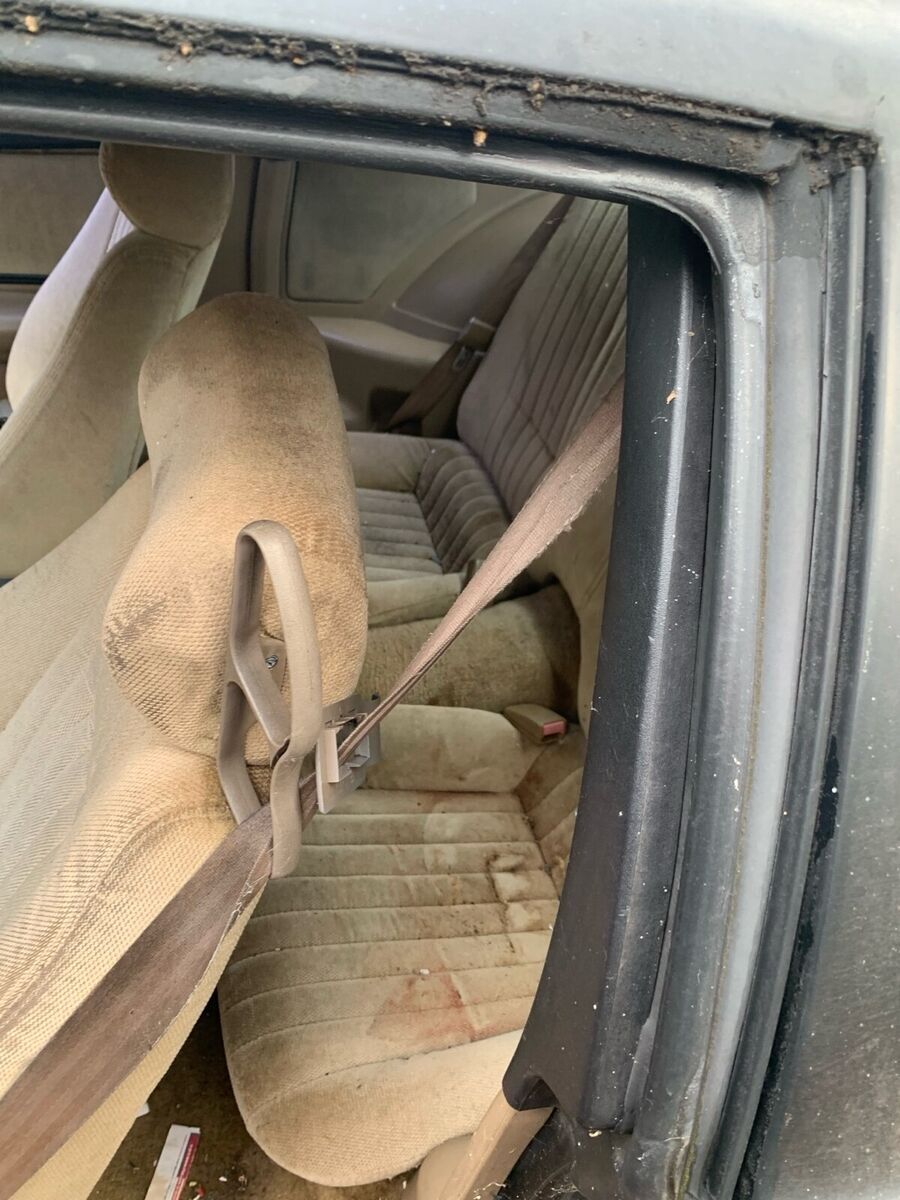 1992 Pontiac Firebird - photo 4