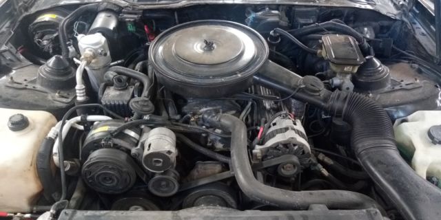 1992 Pontiac Firebird Formula - photo 5