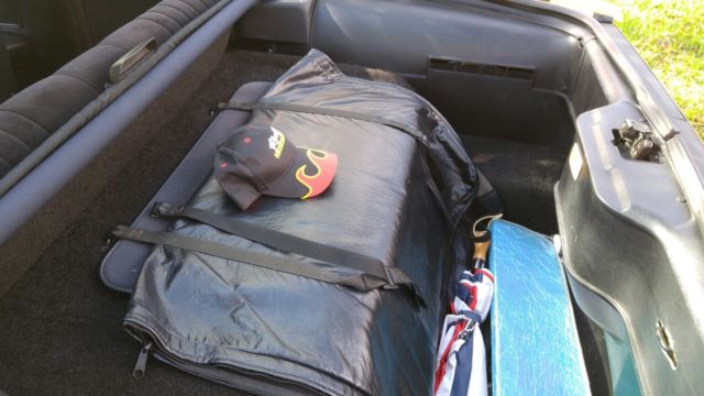 1992 Pontiac Firebird WS6 - photo 7