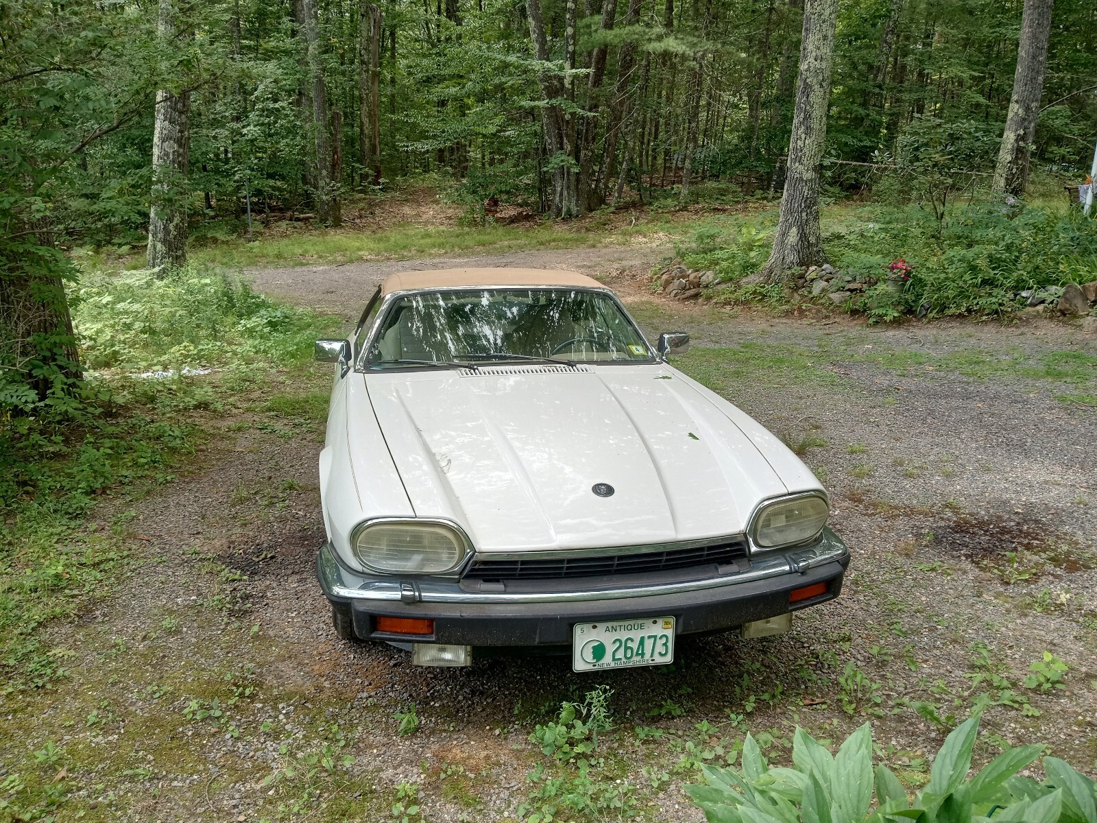1992 Jaguar XJS XJS - photo 8